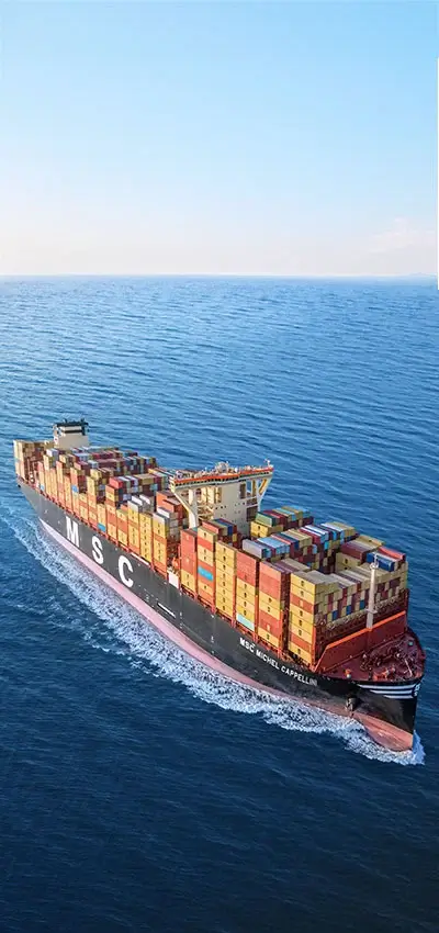 MSC-Michel-Cappellini with blue sky as background.webp