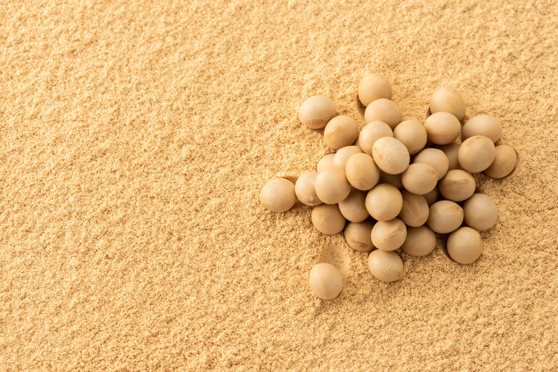 Soy beans sitting on top of soy flour.jpg