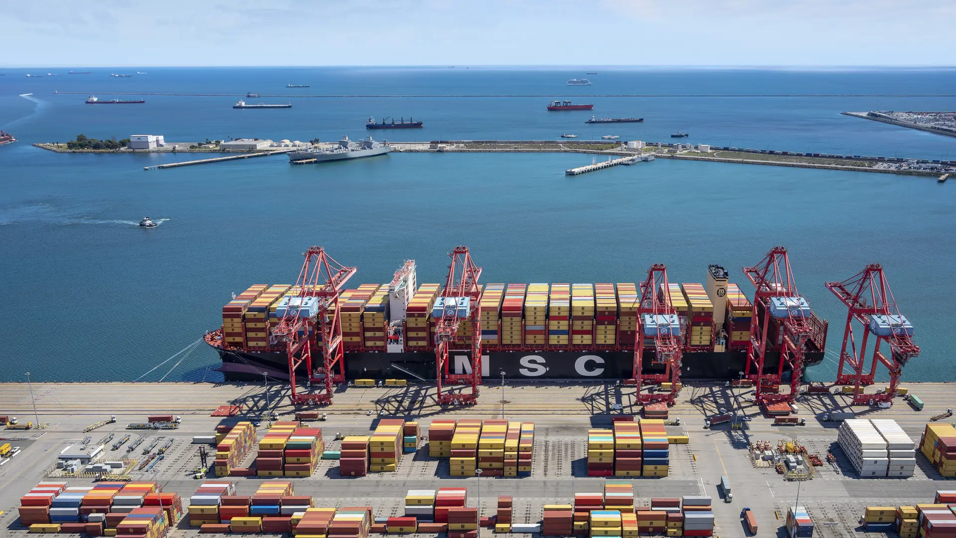 MSC Mia at Long Beach.jpg