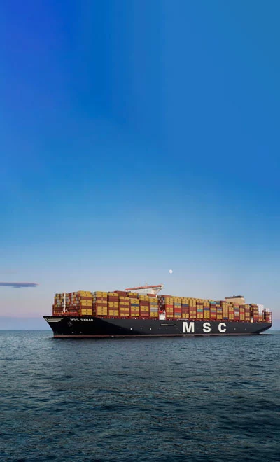 MSC Samar sailing at sunset.jpg