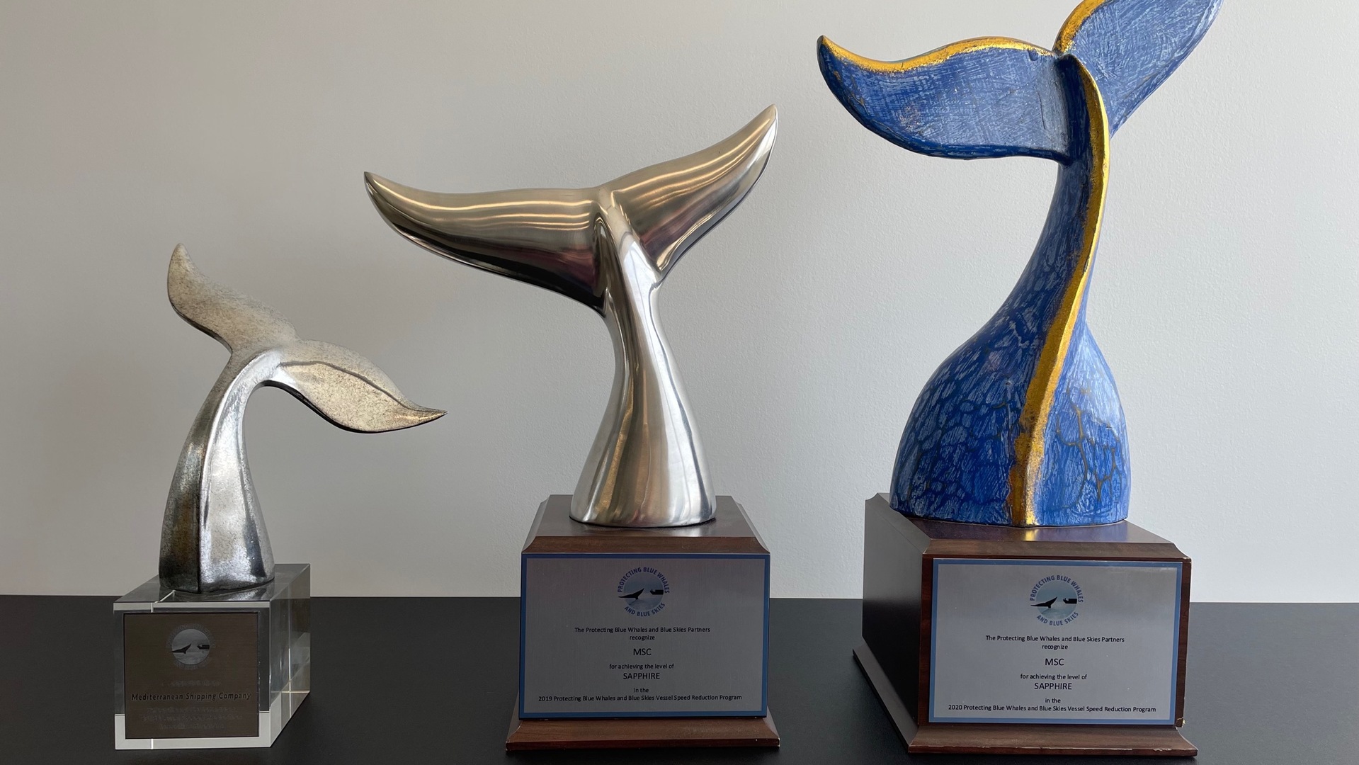 Whale protection efforts award.png