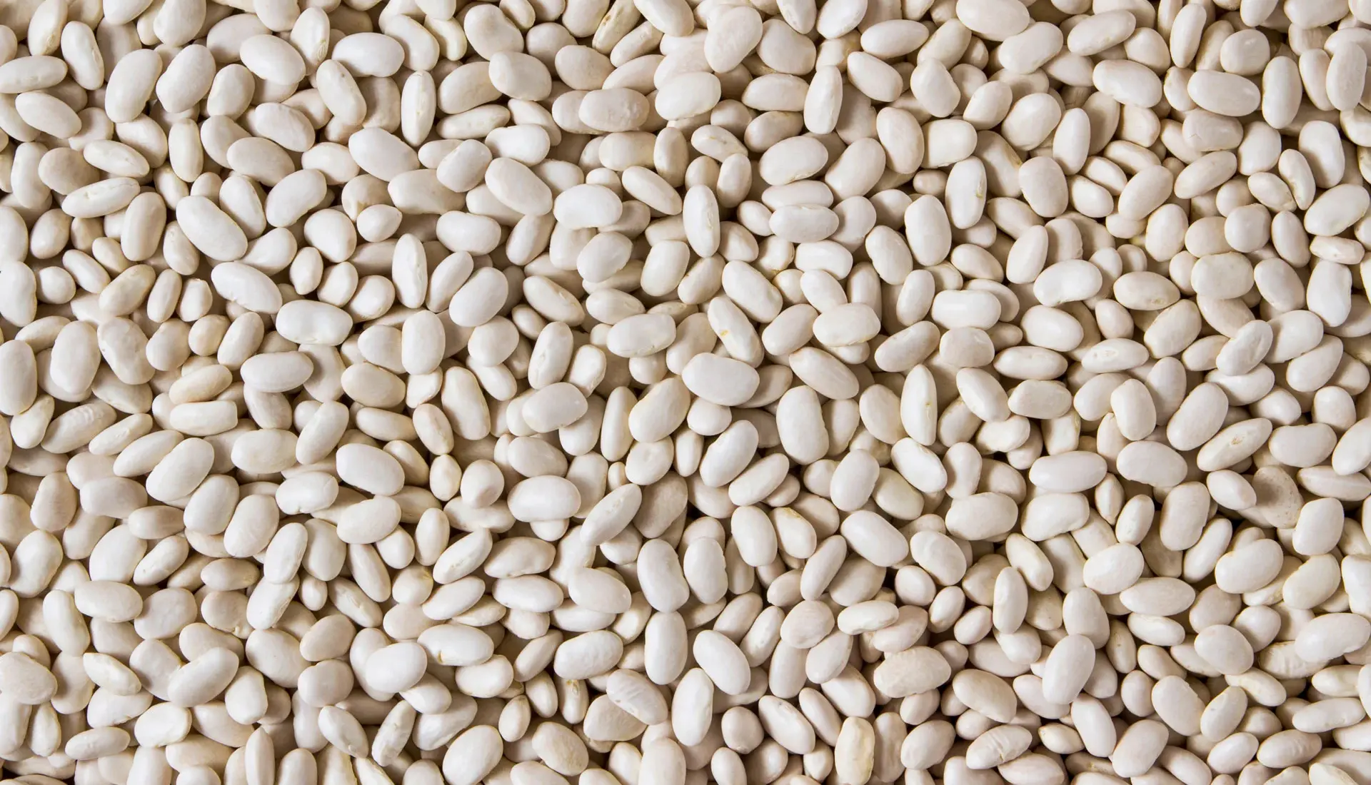 Argentina-white-beans-.jpg