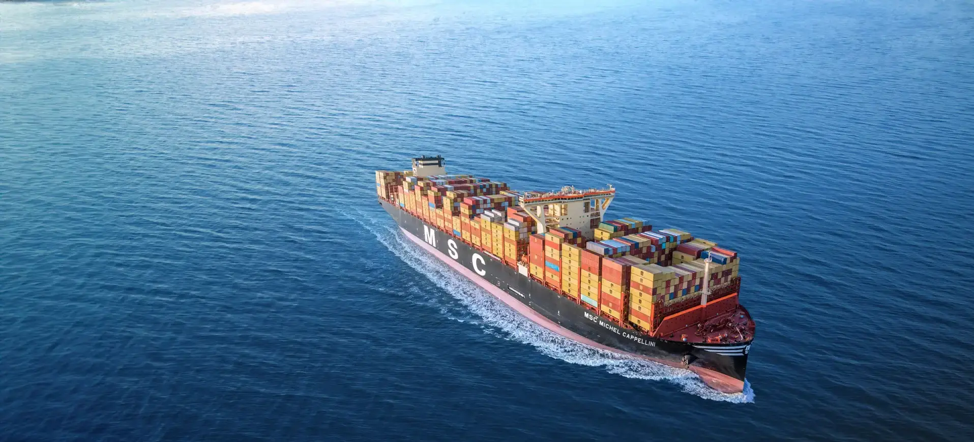 MSC-Michel Cappellini.webp