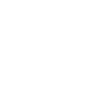 Icone-Features-iReefer-Temperature.png