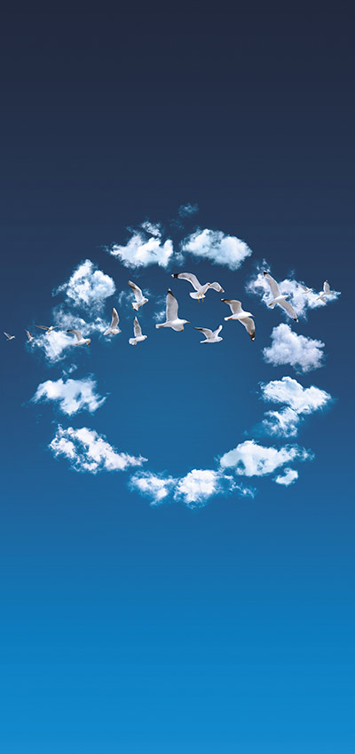 biofuel solution 400x850.jpg