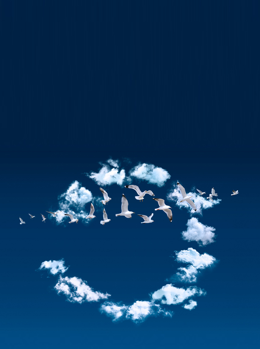 biofuel solution banner mobile.jpg