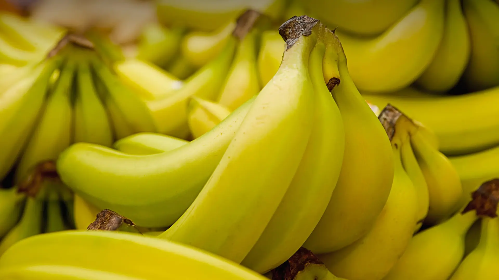 Services de transport de bananes - Cargaison frigorifique mondiale