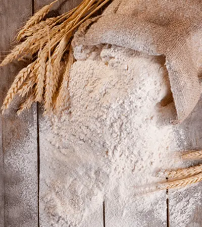 wheat flour from the sack.webp