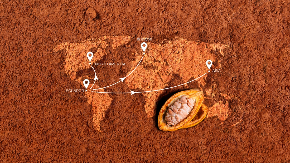 A world of Cocoa from ecuador.jpg