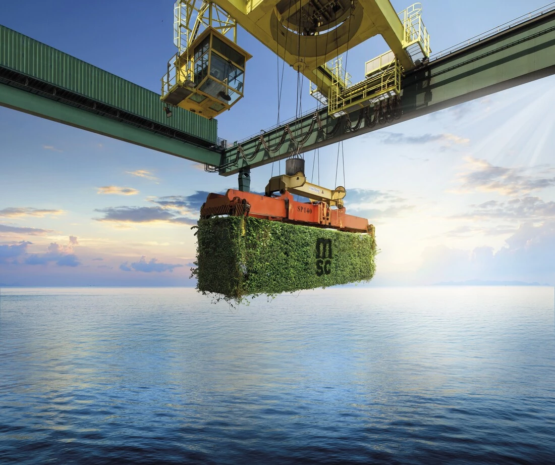 dry container covered with greenery loaded by crane over sea.jpg