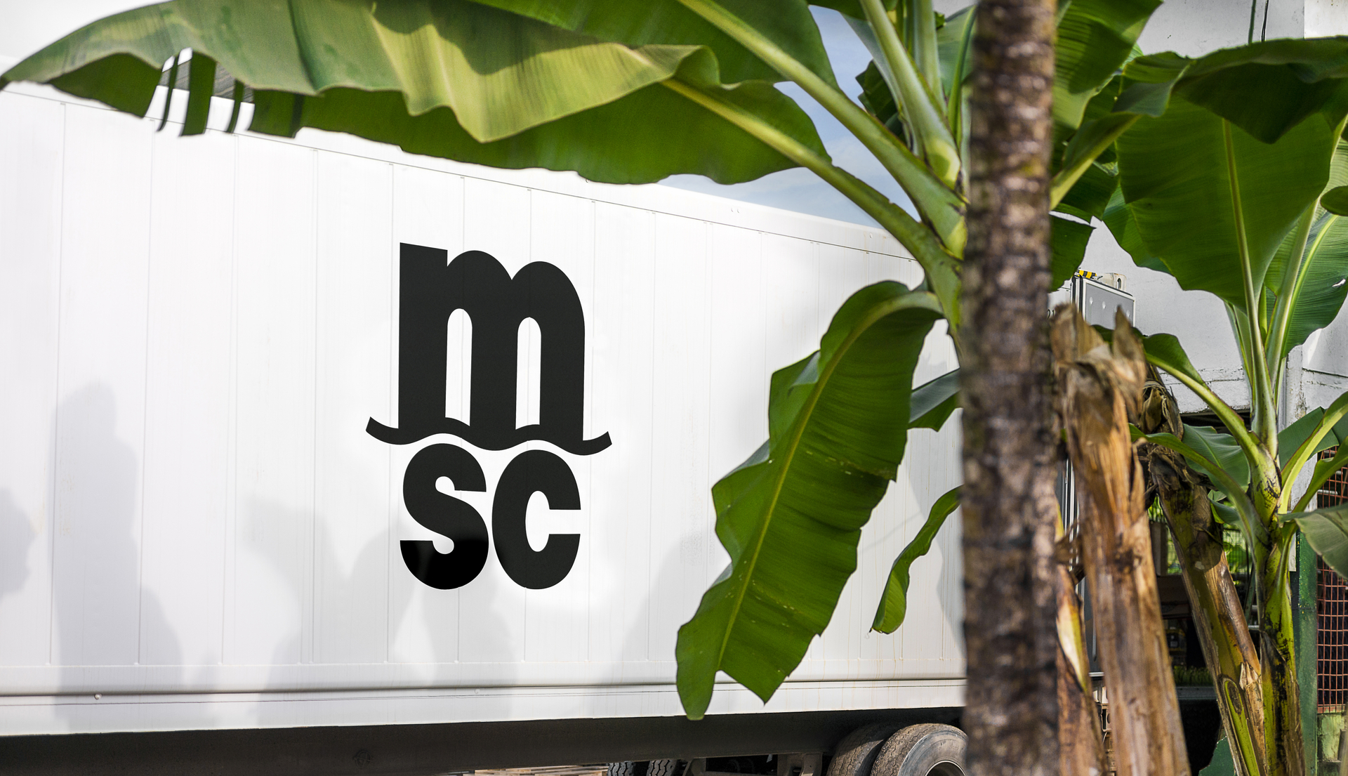 MSC17011649.jpg
